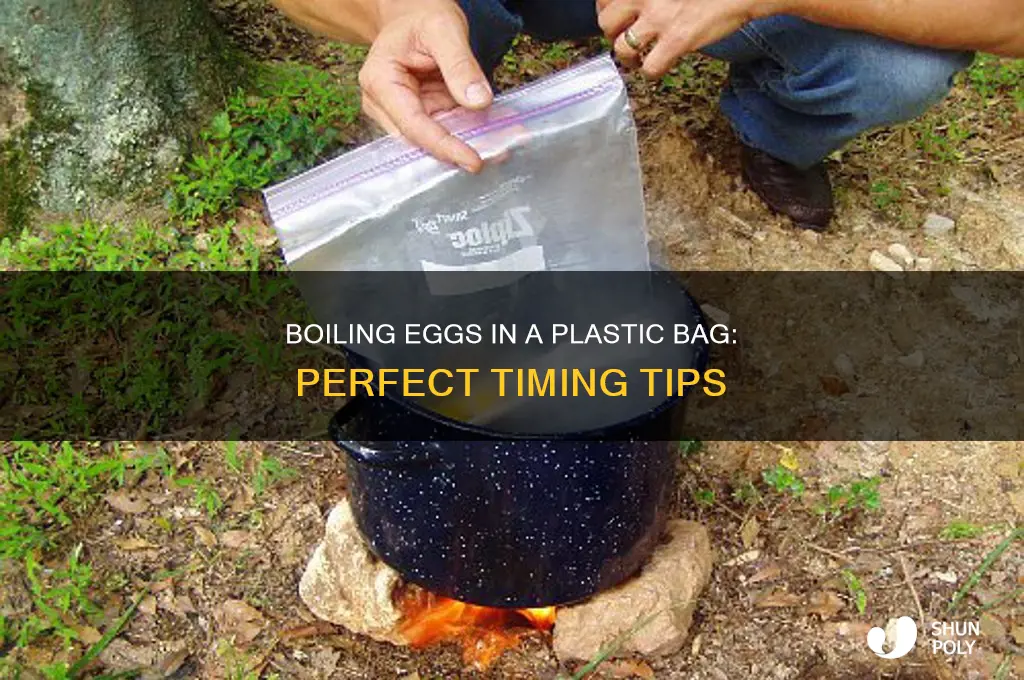 how lo g do i boil eggs in plastic bag