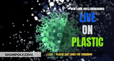 Coronavirus Survival on Plastic: How Long?