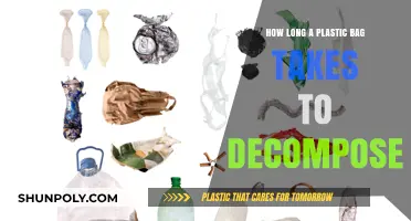 Plastic Bag Decomposition: Understanding the Shocking Environmental Lifespan