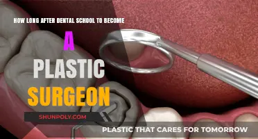 From Dental School to Plastic Surgery: Understanding the Career Transition Timeline
