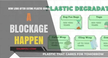 Potential Timeline of Plastic Blockage Symptoms Post-Ingestion