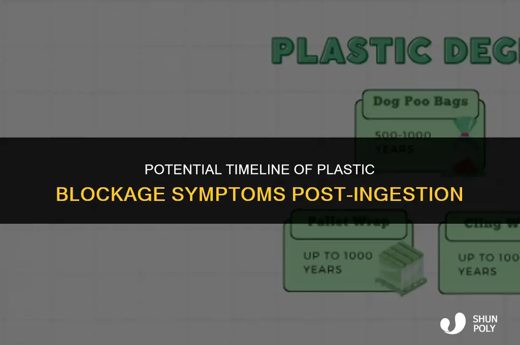 how long after eating plastic could a blockage happen