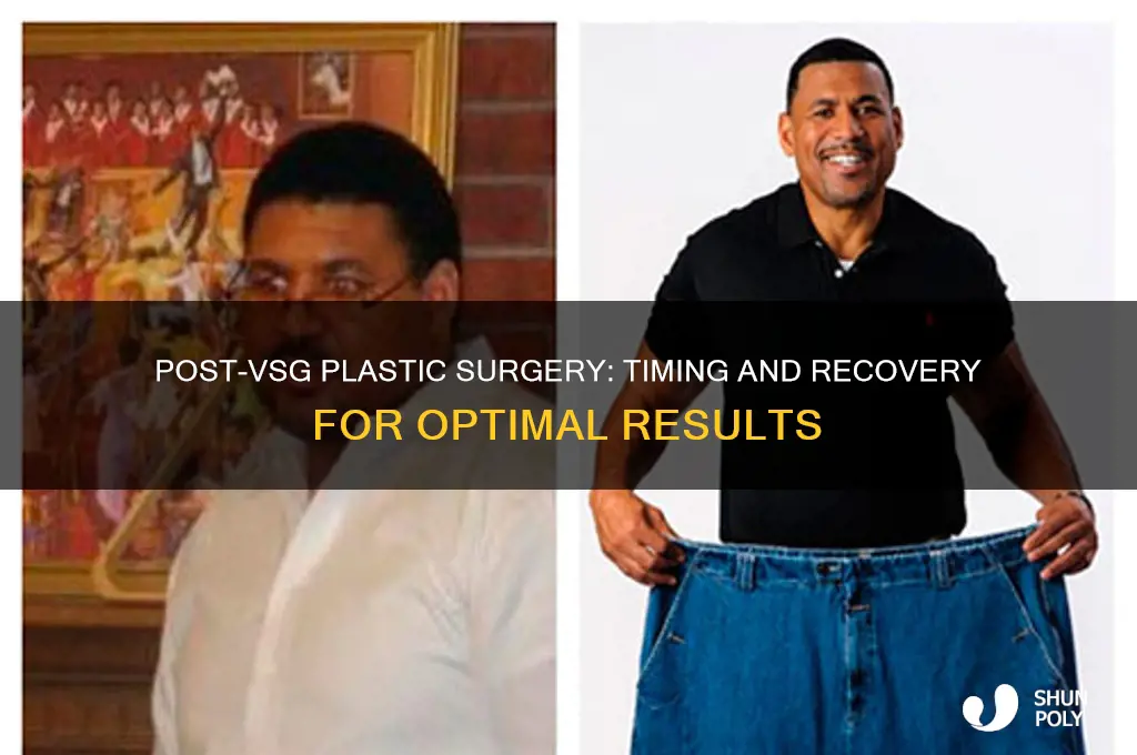 how long after vsg can i get plastic surgery