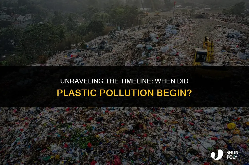 how long ago did plastic become a problem
