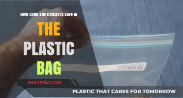 Crickets in Plastic Bags: Safe Storage Duration Explained