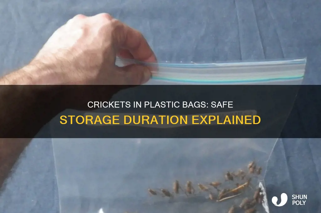 how long are crickets safe in the plastic bag