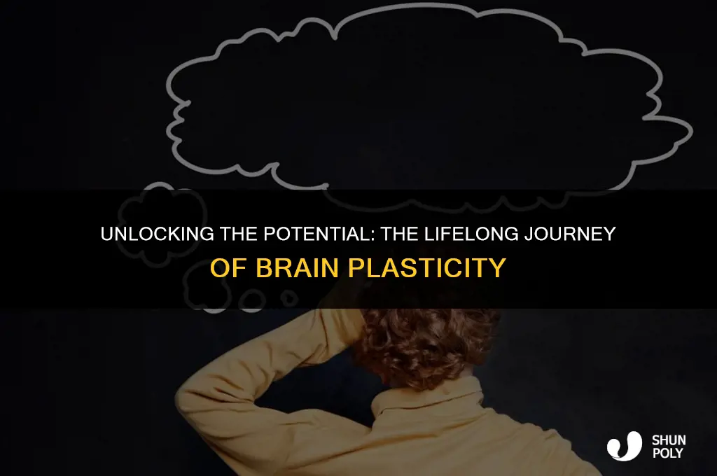 how long are our brains plastic