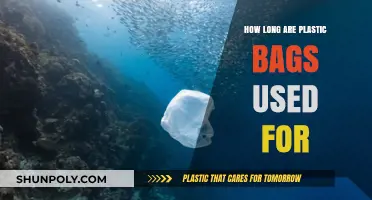 The Shockingly Short Lifespan of Plastic Bags: Usage and Impact