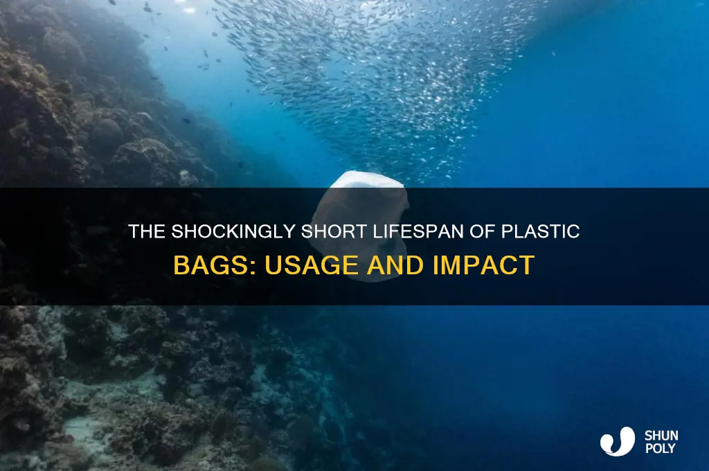 how long are plastic bags used for