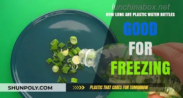 Freezing Plastic Water Bottles: How Long Are They Safe?