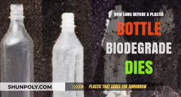 Plastic Bottle Biodegradation: Understanding the Timeline for Decomposition