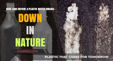 Plastic Bottle Breakdown: Nature's Slow Process Unveiled