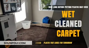 Optimal Timing for Covering Wet-Cleaned Carpets with Plastic Mats