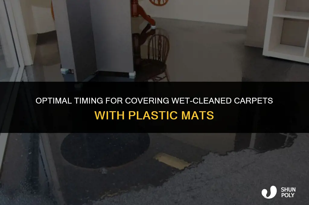 how long before putting plastic mat over wet cleaned carpet