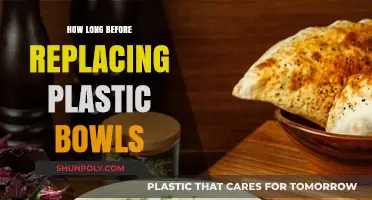 Eco-Friendly Alternatives: When to Swap Out Plastic Bowls