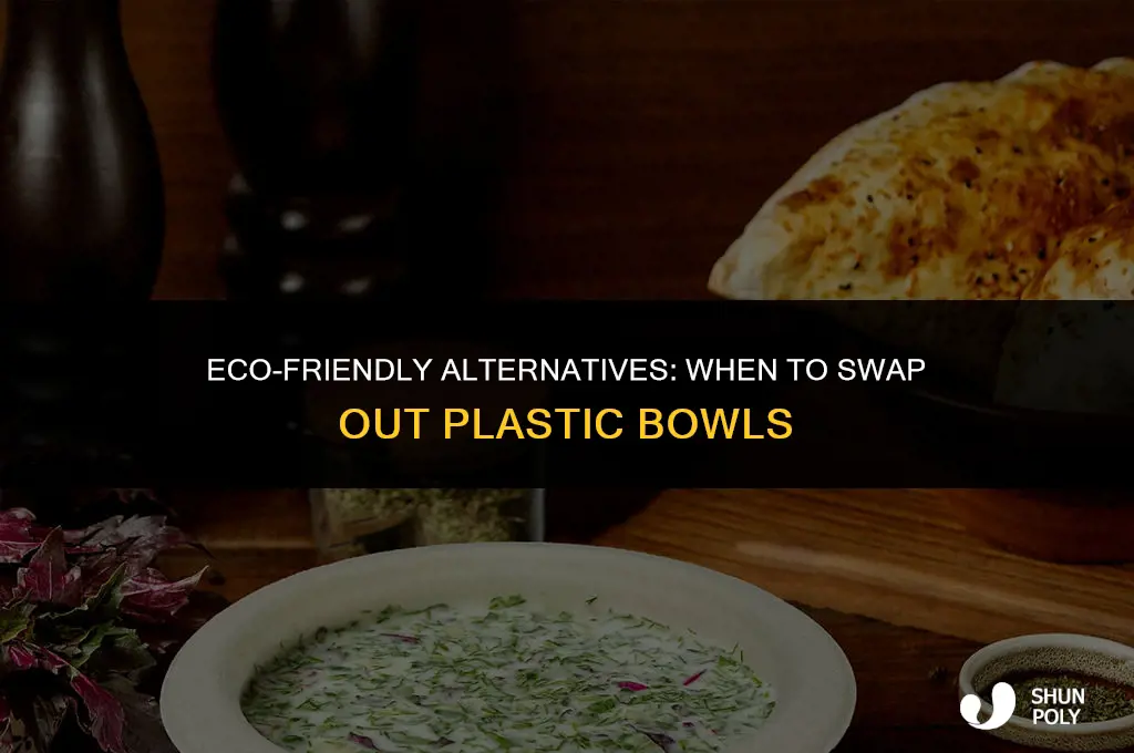 how long before replacing plastic bowls