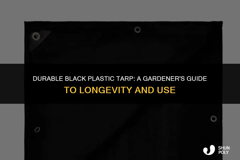 how long black plastic tarp garden