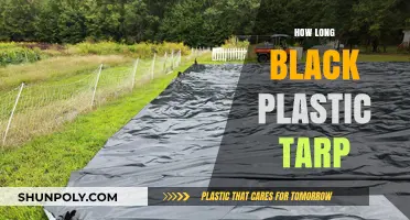Durability Unveiled: The Lifespan of Black Plastic Tarps Explained