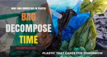 Decomposition Timeline: Buried Dog in Plastic Bag Explained