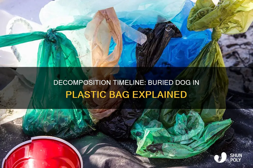 how long buried dog in plastic bag decompose time
