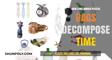 Plastic Bags' Decomposition Timeline: How Long Do They Linger Underground?