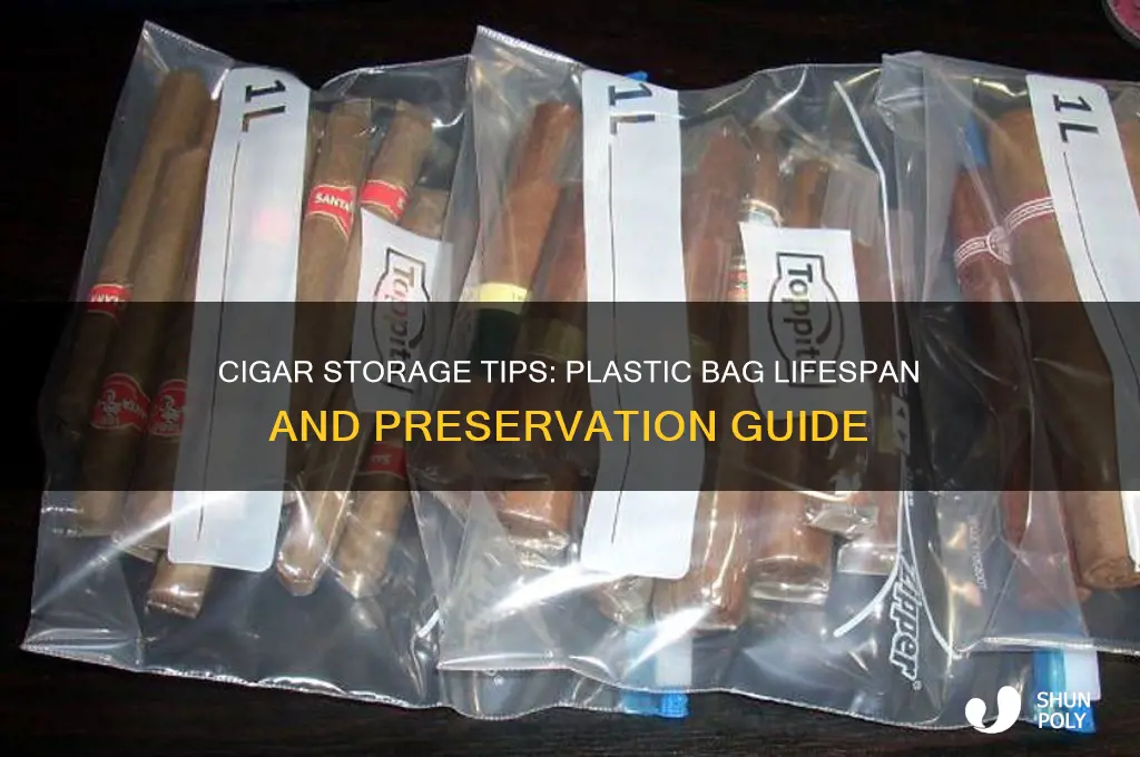how long can a cigar last in a plastic bag