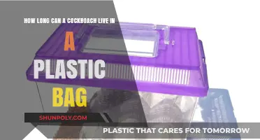 Cockroach Survival: How Long Can They Live in Plastic Bags?