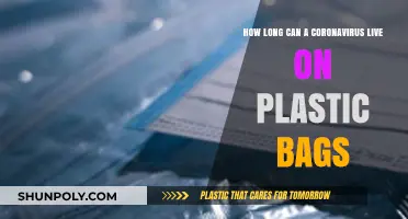 Coronavirus Survival on Plastic Bags: Duration and Safety Tips