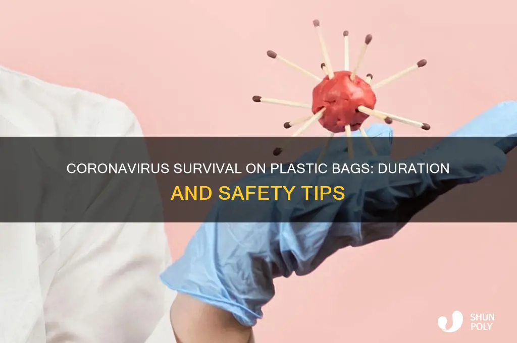 how long can a coronavirus live on plastic bags