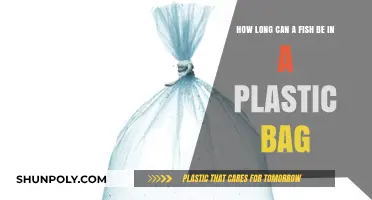 How Long Can Fish Survive in Plastic Bags Safely?