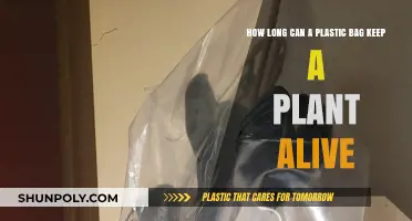 Plastic Bag Plant Survival: How Long Can It Last?