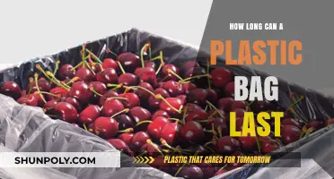 The Shocking Lifespan of Plastic Bags: How Long Do They Last?