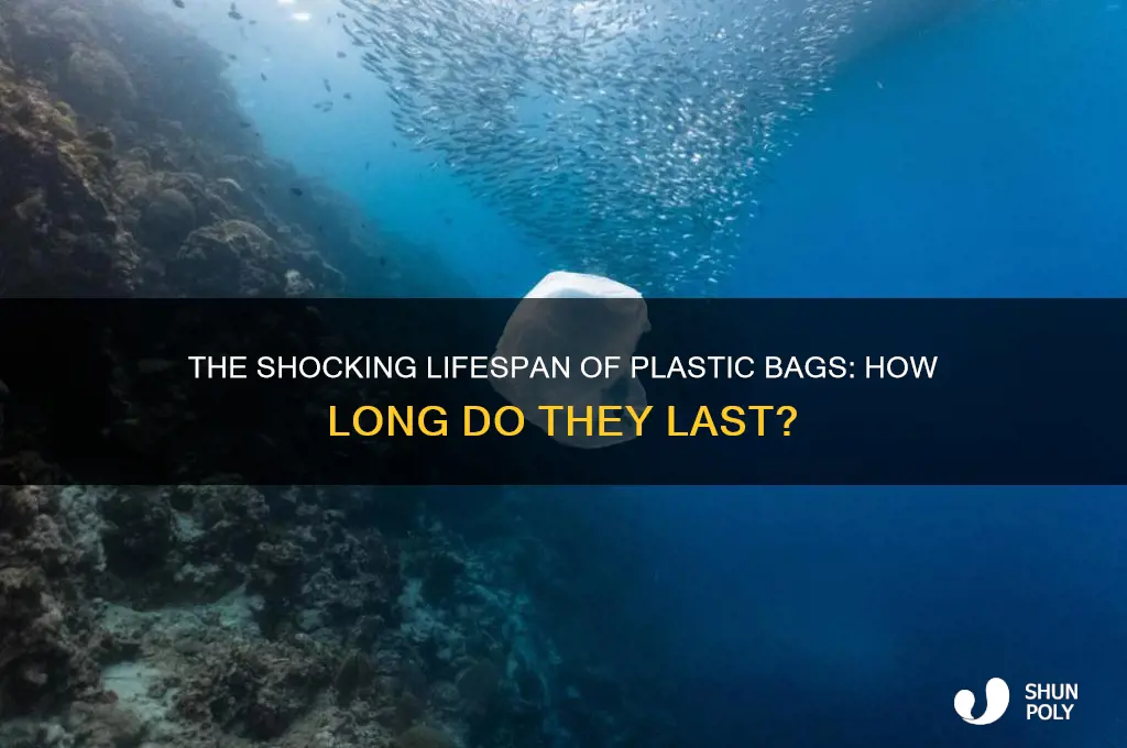 how long can a plastic bag last