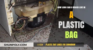 Surviving in Plastic: Roach Lifespan in Sealed Bags Explained