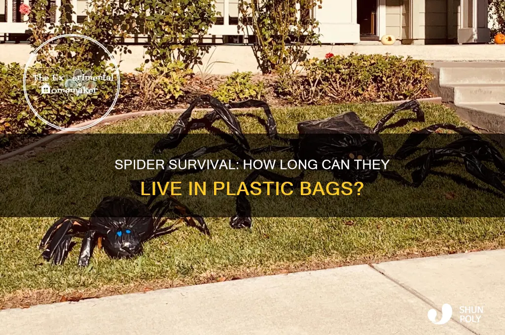 how long can a spider live in a plastic bag