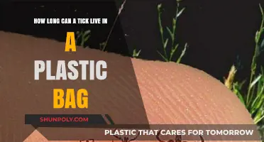 Surviving in Plastic: Tick Lifespan in Sealed Bags Explained