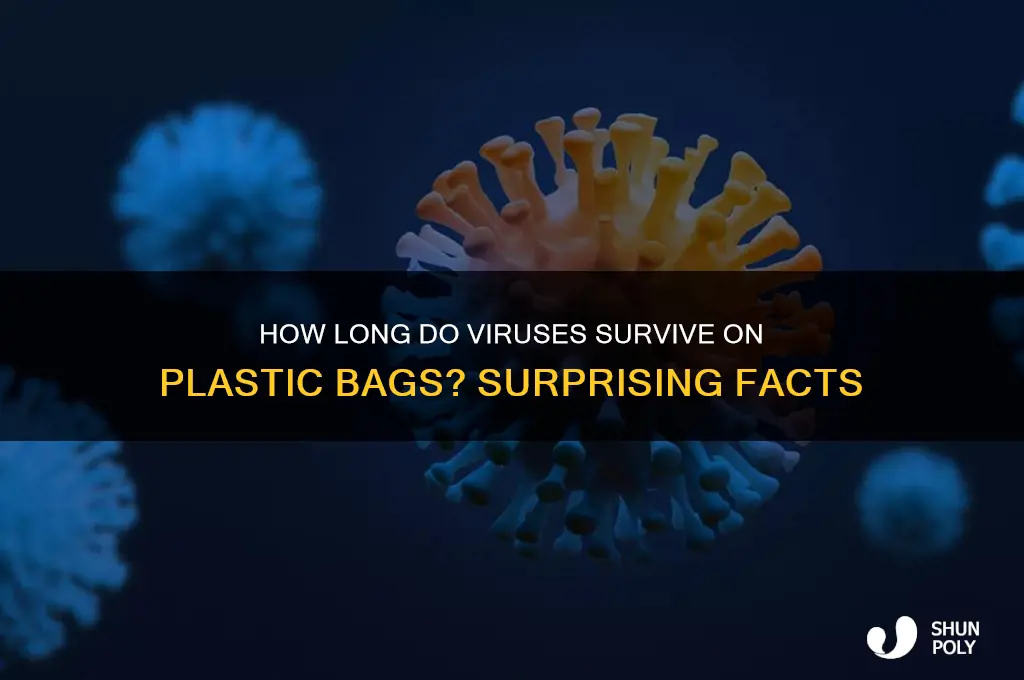how long can a virus live on a plastic bag