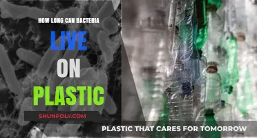 Unveiling the Persistence: How Long Can Bacteria Survive on Plastic?