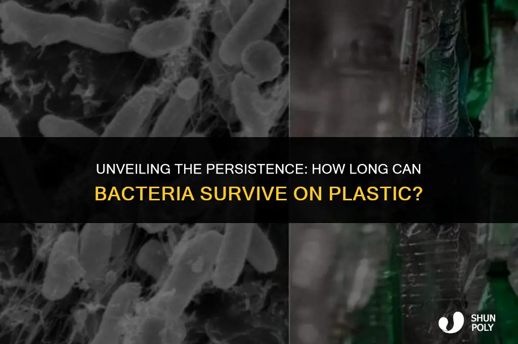 how long can bacteria live on plastic