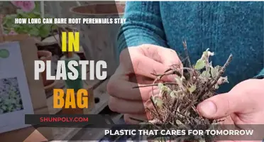 Bare Root Perennials in Plastic Bags: Safe Storage Duration Explained