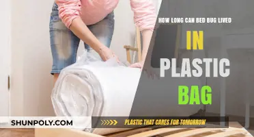 Can Bed Bugs Survive in Plastic Bags? Lifespan Revealed