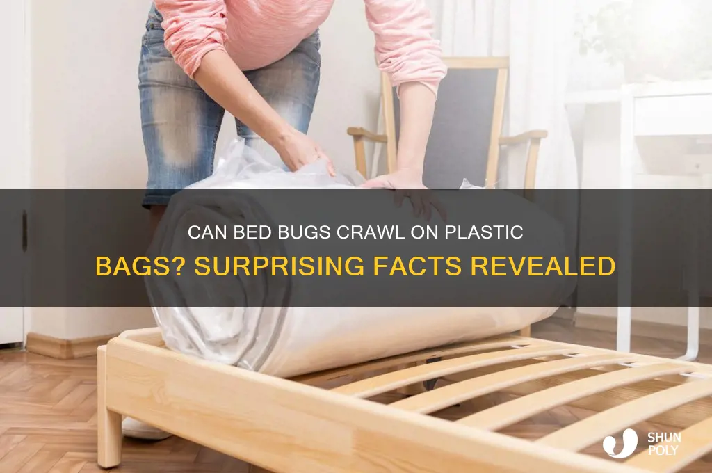 how long can bed bugs crawl on plastic garbage bags
