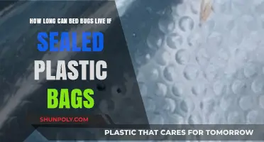 Surviving in Sealed Plastic Bags: Bed Bugs' Lifespan Unveiled