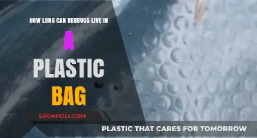 Surviving in Seclusion: Bedbugs' Lifespan Inside Plastic Bags Explained