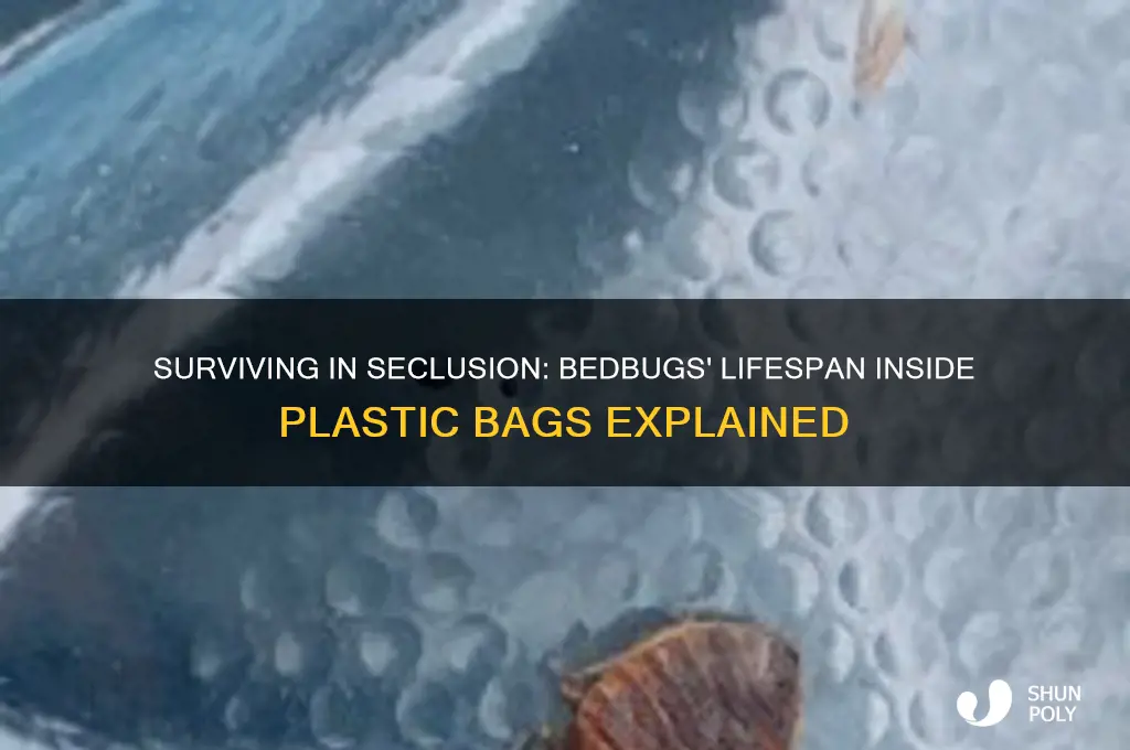 how long can bedbugs live in a plastic bag