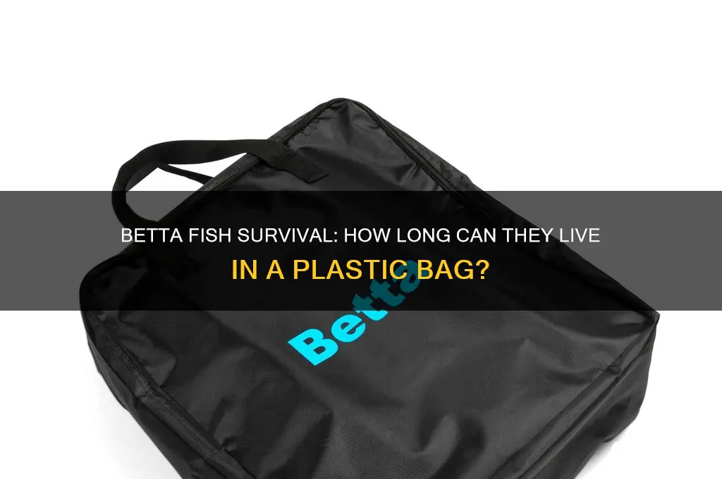 how long can betta fish live in plastic bag