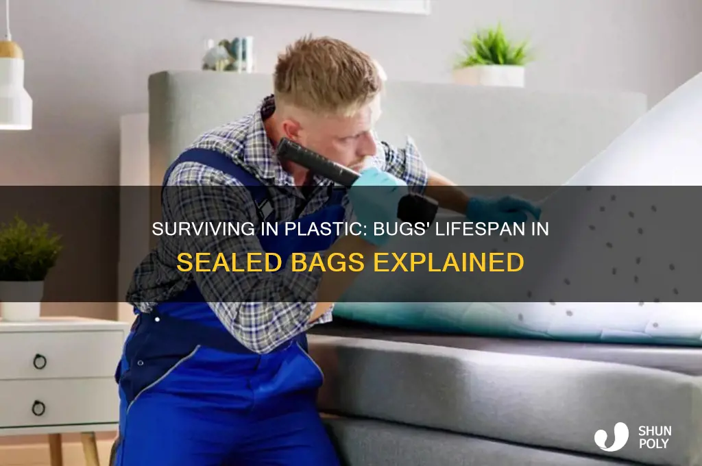 how long can bugs live in a sealed plastic bag