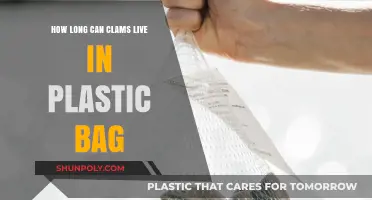 Clams in Plastic Bags: Survival Time and Freshness Tips