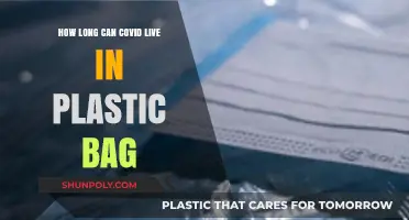 How Long Does COVID-19 Survive on Plastic Surfaces?