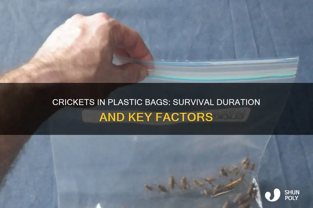 how long can crickets last in a plastic bag